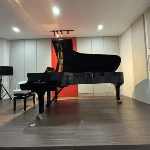 Shigeru Kawai SK-EX | Allegro Piano
