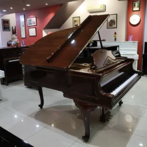 Grand Petrof P173 Brezee