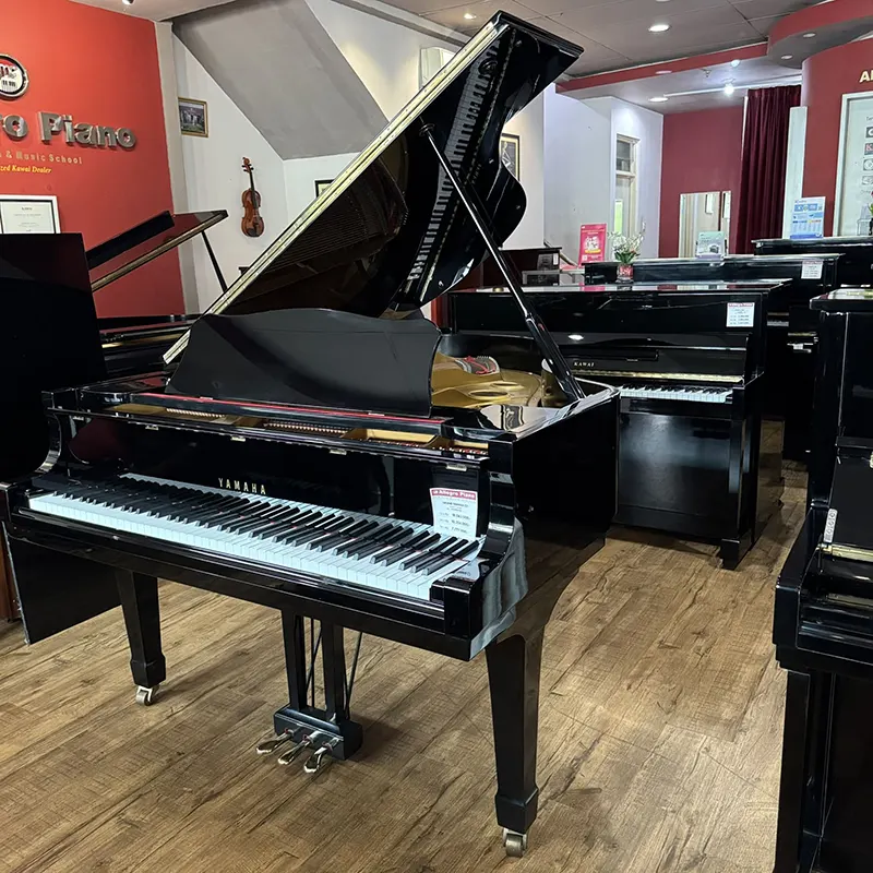 Grand Piano Yamaha C3- Allegro Piano