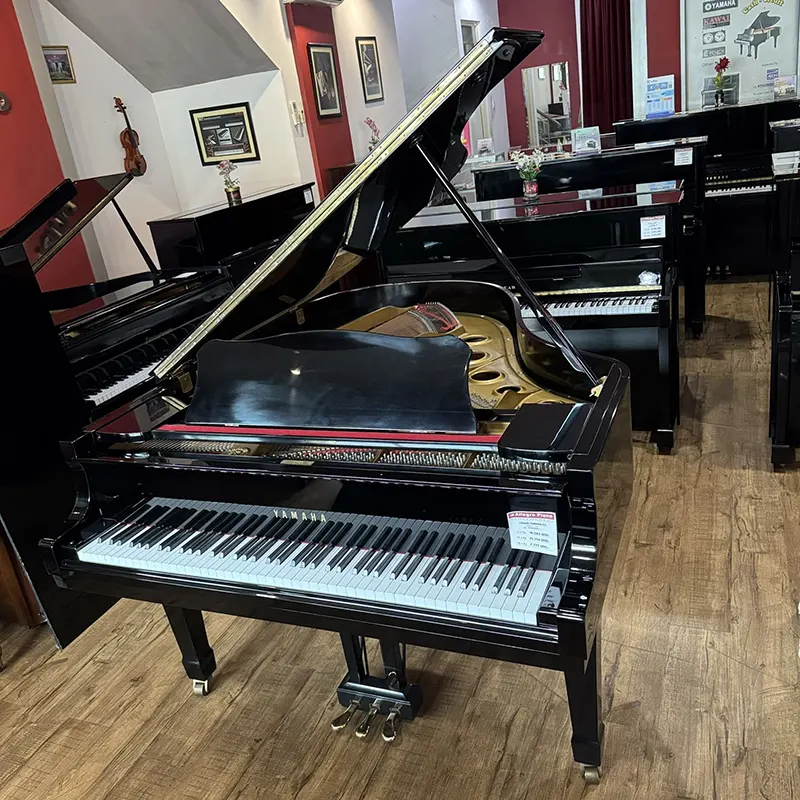 Grand Piano Yamaha C3- Allegro Piano