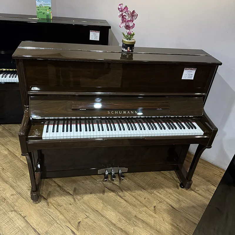 Schumann - Allegro Piano