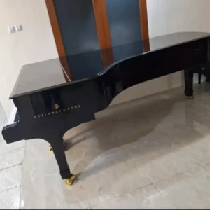 Grand Steinway & Sons Model D - Allegro Piano