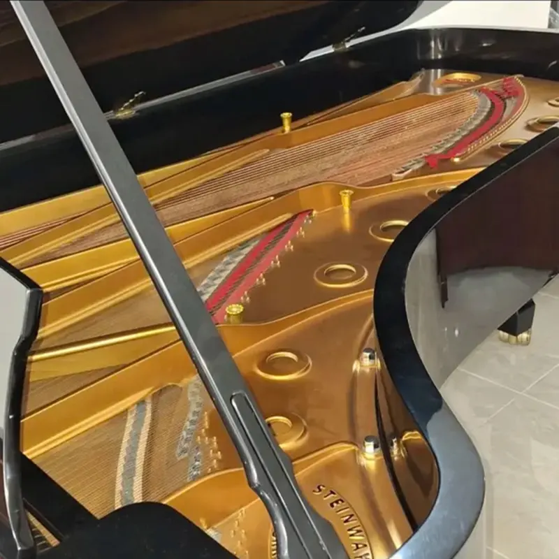 Grand Steinway & Sons Model D - Allegro Piano