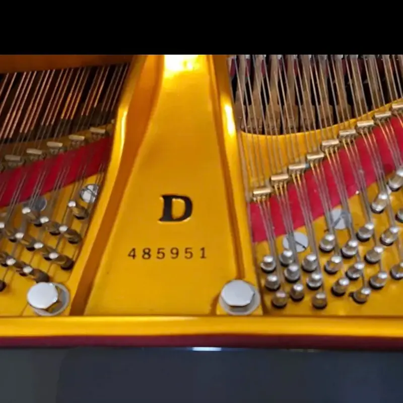 Grand Steinway & Sons Model D - Allegro Piano