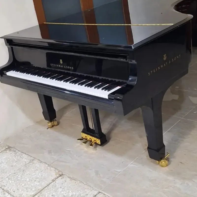 Grand Steinway & Sons Model D - Allegro Piano