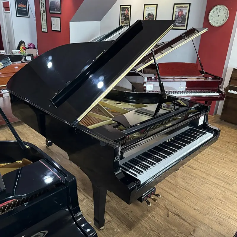 Grand Piano Yamaha C7 - Allegro Piano