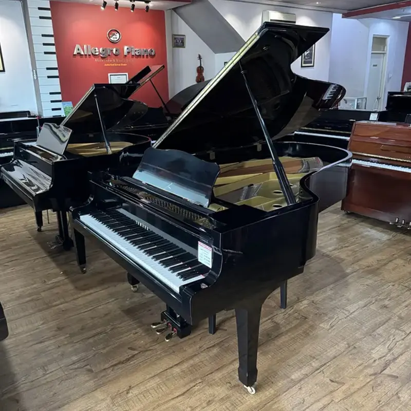 Grand Piano Yamaha C7 - Allegro Piano