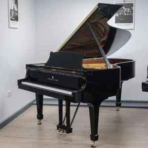 Grand Steinway & Sons Model B - Allegro Piano