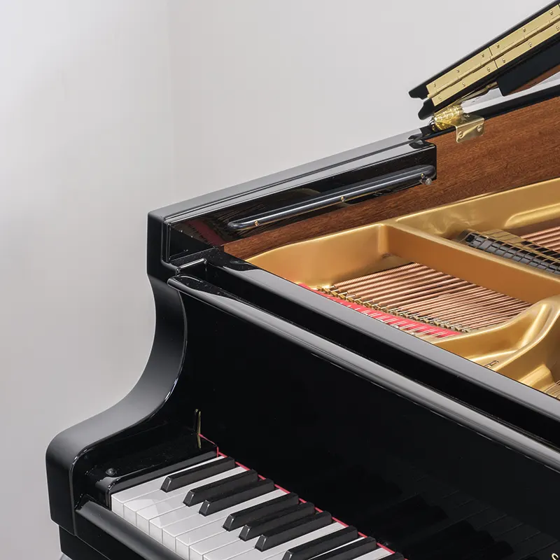 Grand Steinway & Sons Model B - Allegro Piano