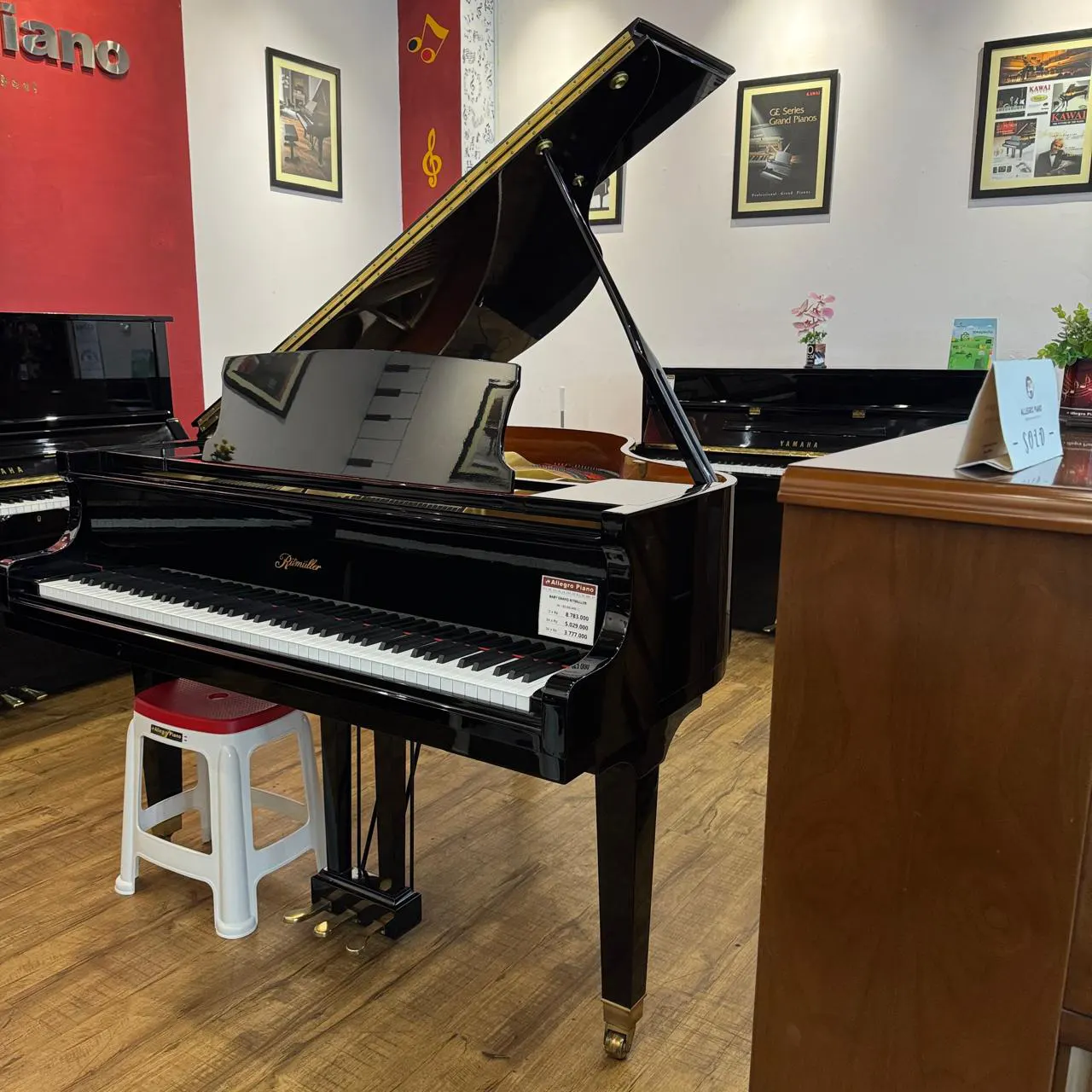 Grand Piano Ritmuller GP150- Allegro Piano