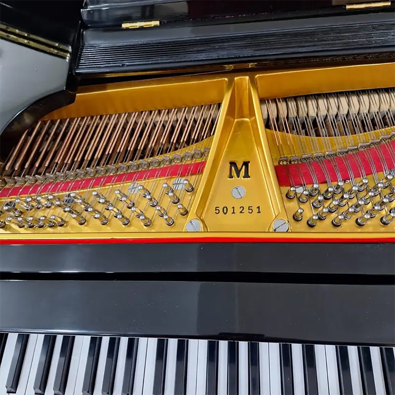 Grand Steinway & Sons Model M - Allegro Piano
