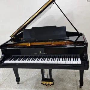 Grand Steinway & Sons Model M - Allegro Piano