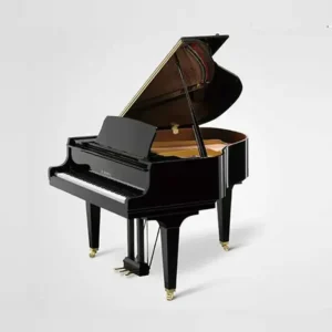 Grand Kawai GL-10