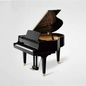 Grand Kawai GL-20