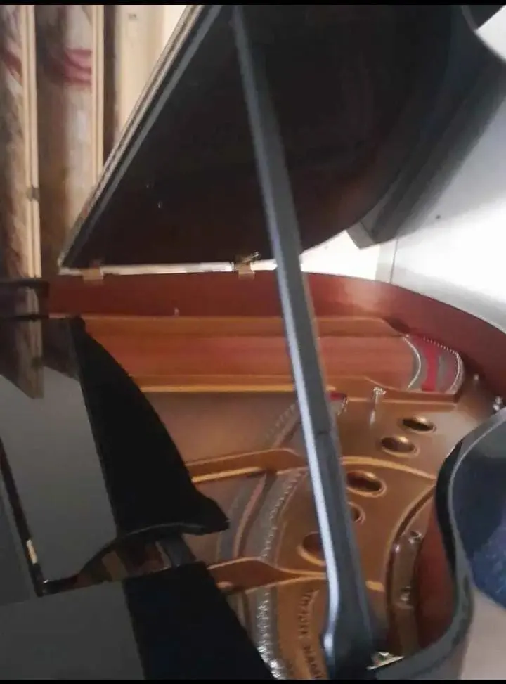 Piano baby grand Steinway & Sons Model S 1992 warna hitam glossy dengan desain compact elegan | Allegro Piano