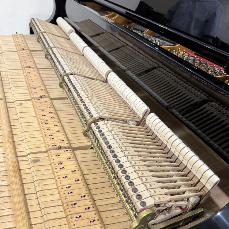 Piano grand Steinway & Sons Model D 1992 warna hitam glossy ukuran concert grand dengan desain elegan dan profesional | Allegro Piano