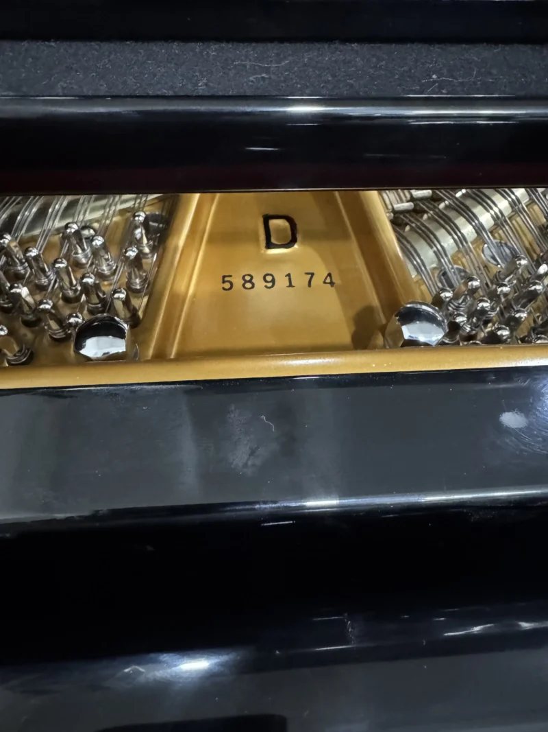 Piano grand Steinway & Sons Model D 1992 warna hitam glossy ukuran concert grand dengan desain elegan dan profesional | Allegro Piano