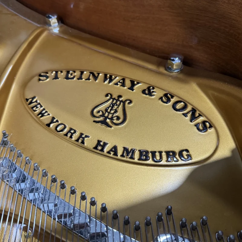 Piano grand Steinway & Sons Model D 1992 warna hitam glossy ukuran concert grand dengan desain elegan dan profesional | Allegro Piano