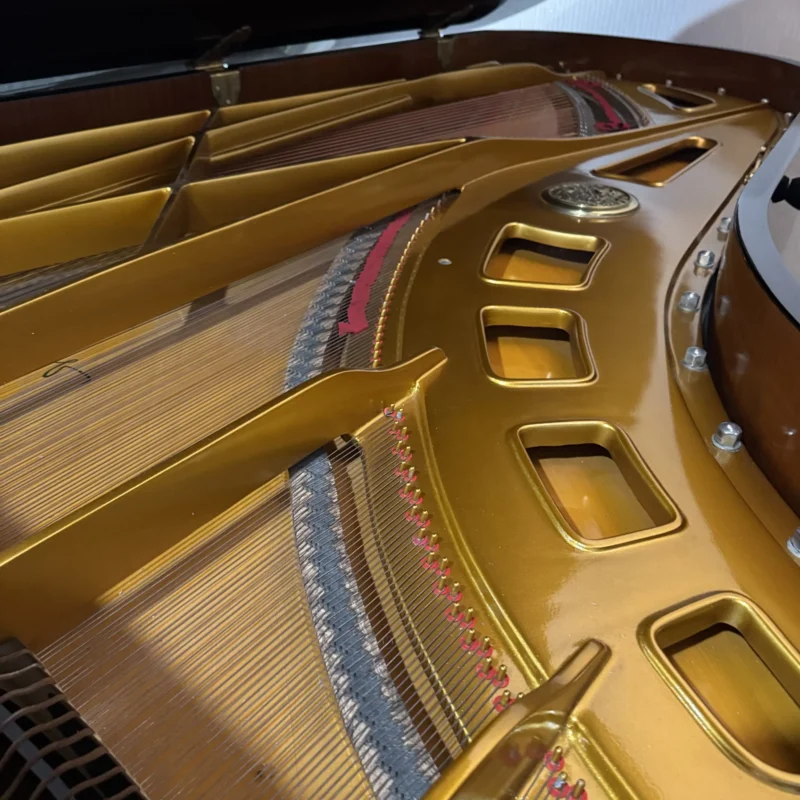 Piano grand Petrof Concert Model 1 ukuran concert grand dengan desain elegan dan finishing hitam glossy | Allegro Piano
