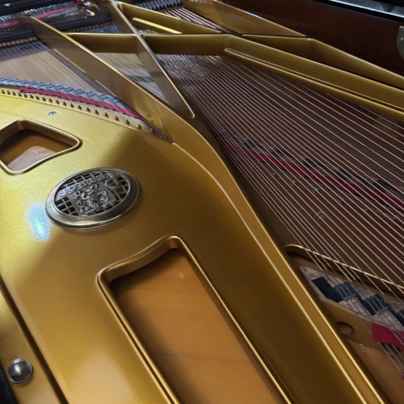 Piano grand Petrof Concert Model 1 ukuran concert grand dengan desain elegan dan finishing hitam glossy | Allegro Piano